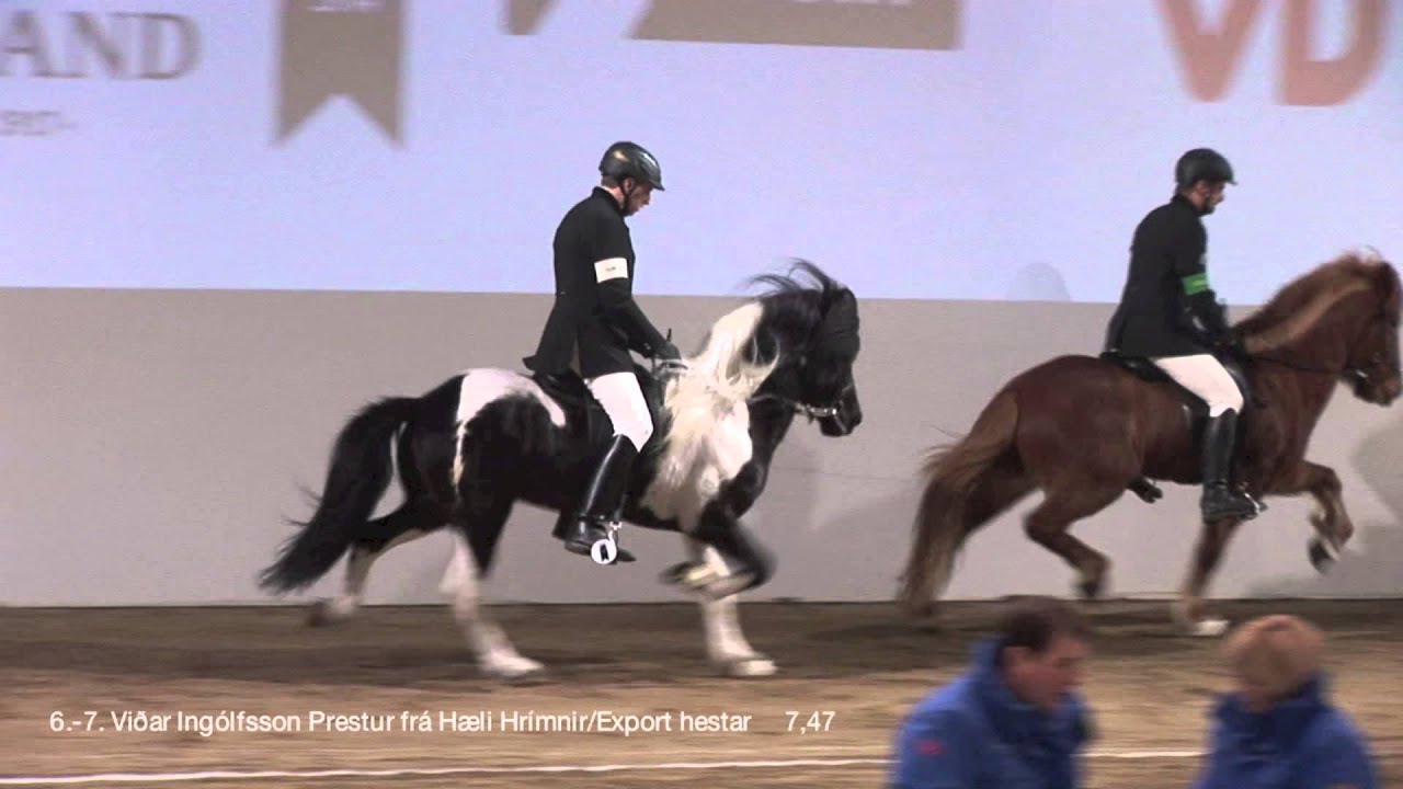 Meistaradeild 2014 - fjórgangur