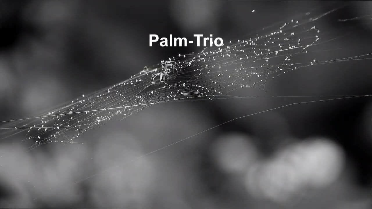 Uti var hage   - Palm-Trio