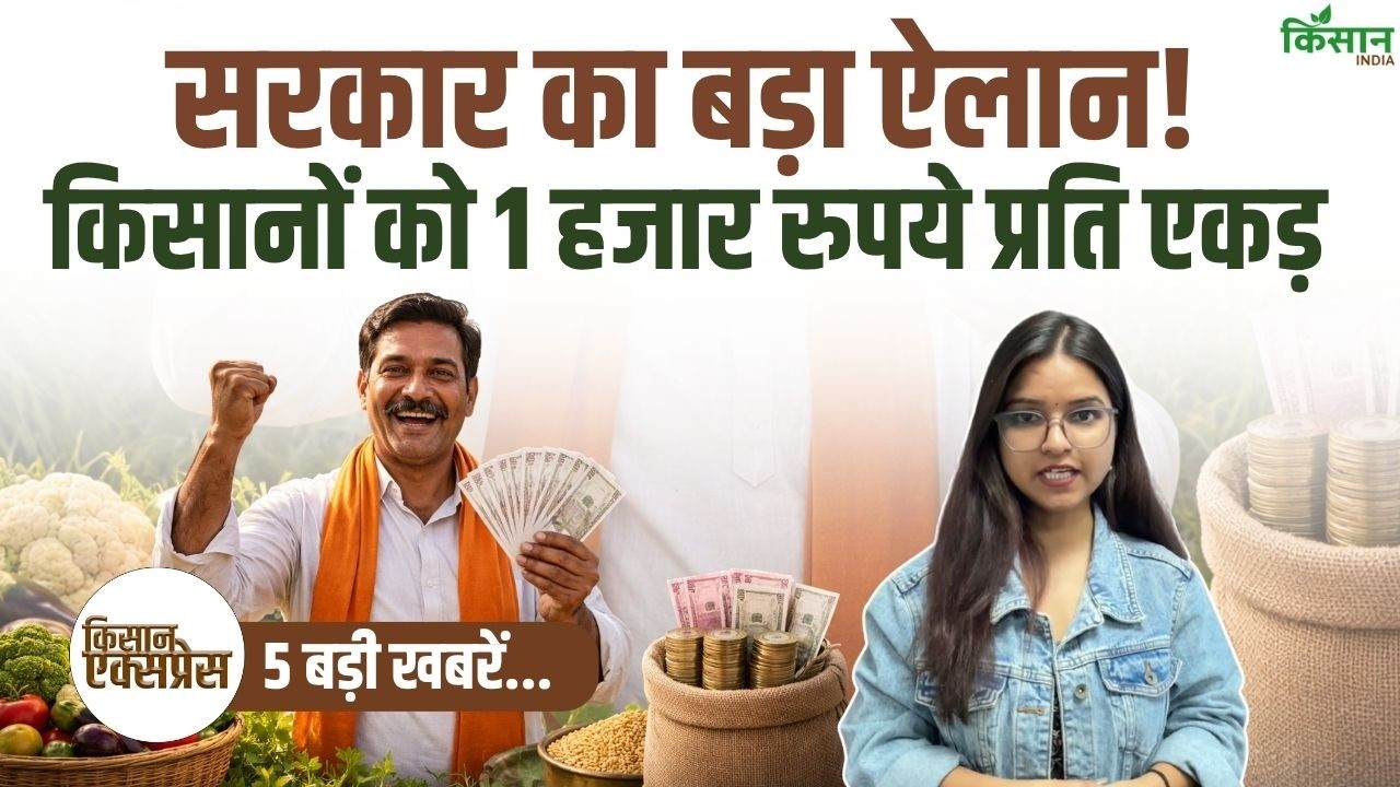PM Fasal Bima Yojana में बड़ा घोटाला, सरकार ने किया बड़ा ऐलान, किसानों को मिलेंगे 1 हजार प्रति एकड़!
