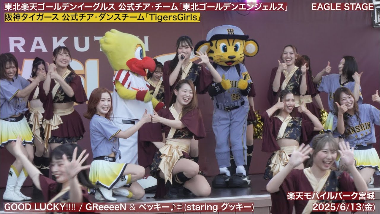 【(初コラボ)(東北ろっけんまつり) 東北ゴールデンエンジェルス × タイガースガールズ】2025/6/13(金) EAGLE STAGE(東北楽天イーグルス)パフォーマンス【4K60fps】