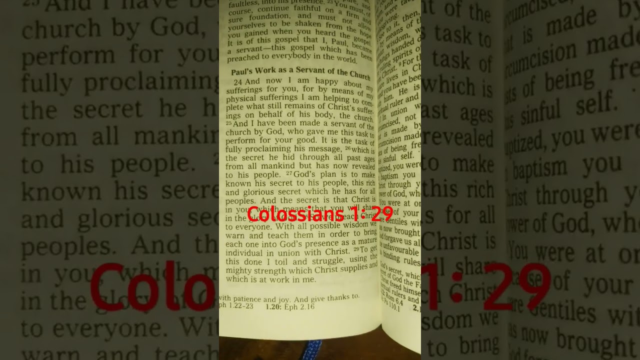 Colossians 1: 29