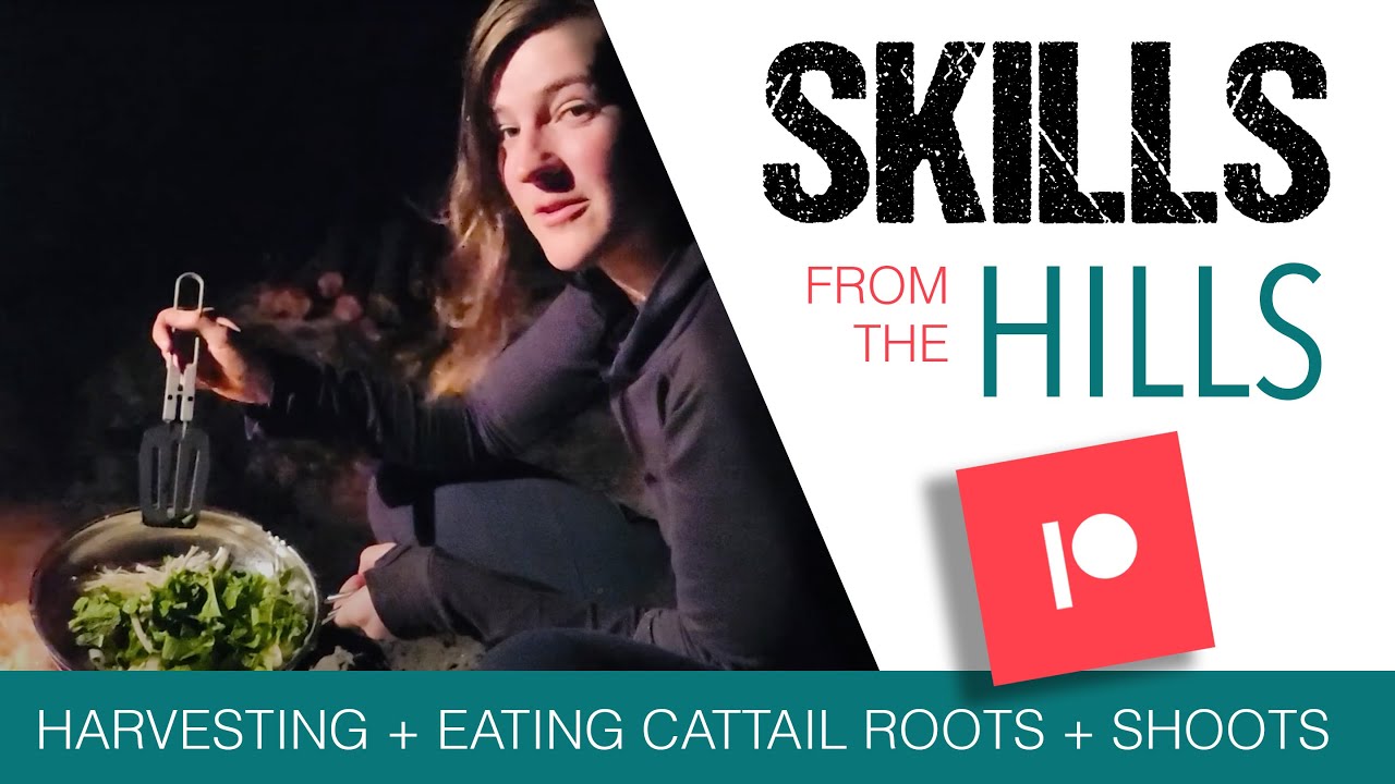 Harvesting + Eating Cattail Roots + Shoots