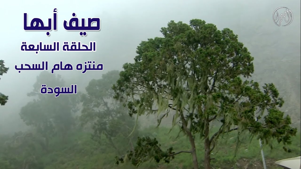 صيف أبها | الحلقة السابعة | منتزة هام السحب في السودة