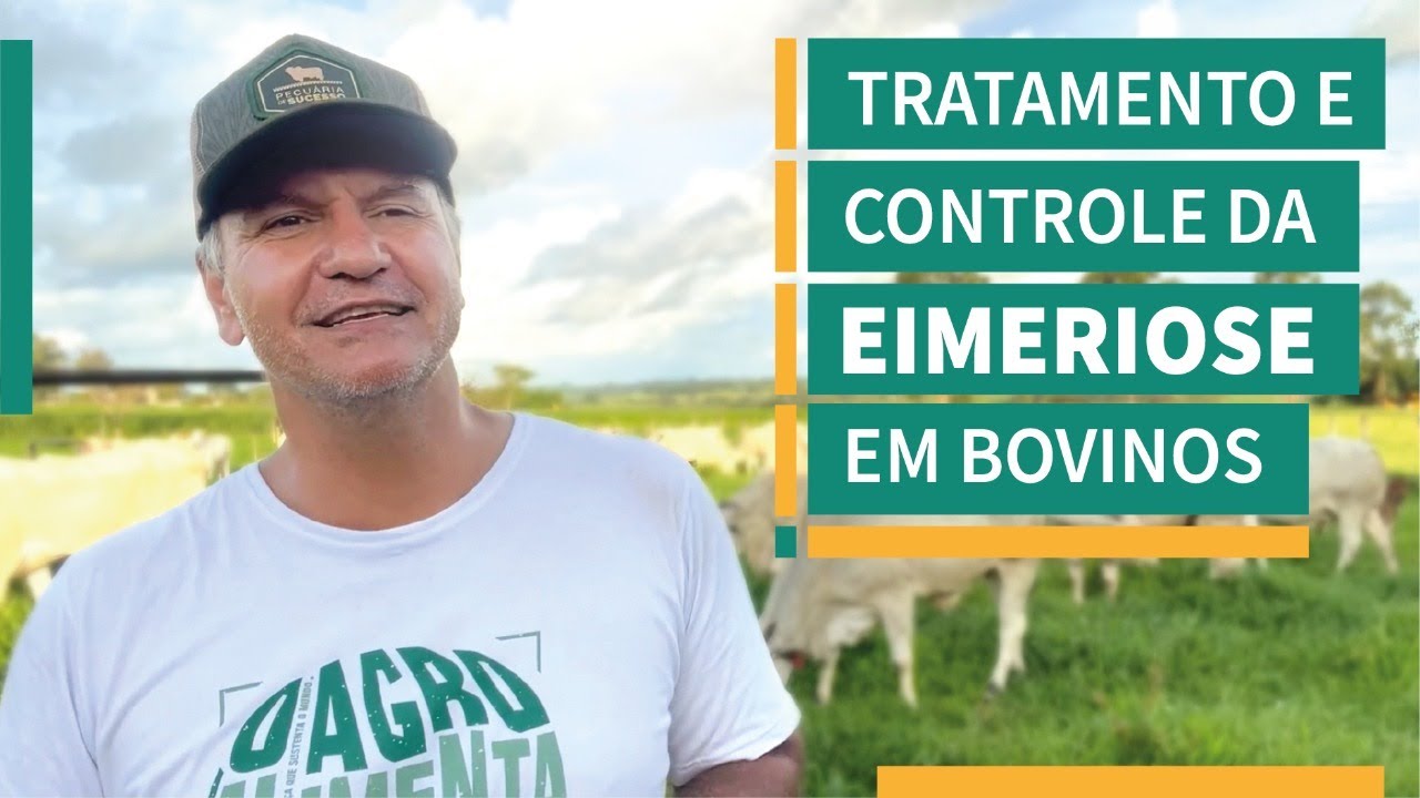 DESCUBRA AGORA O ALÍVIO PARA OS BEZERROS - Tratamento e controle da Eimeriose em bovinos