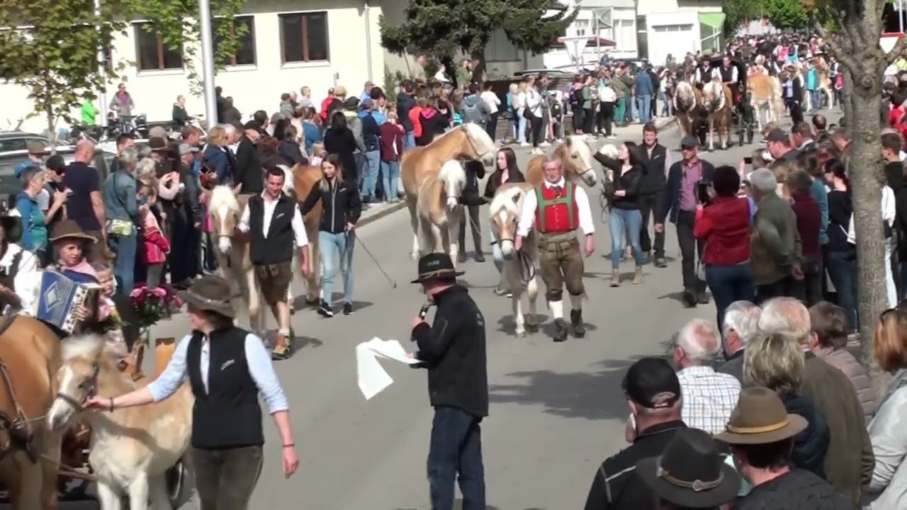 Osttiroler Bezirks Pferde Ausstellung 2023