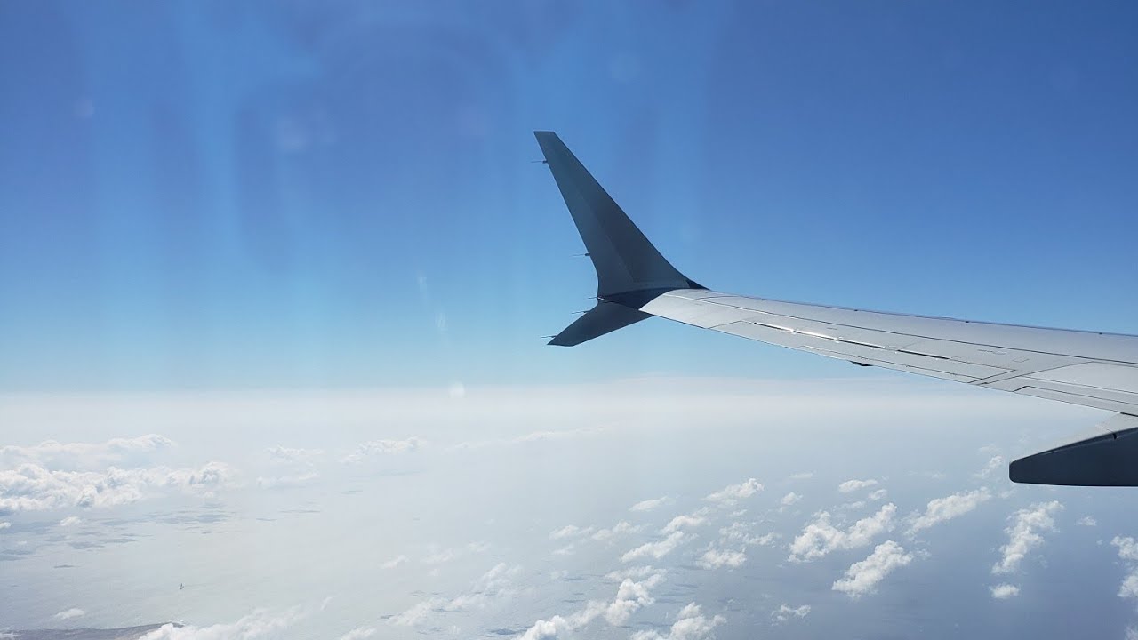 PANDEMIC FLIGHT from Florida to Aruba on American Airlines ✈
