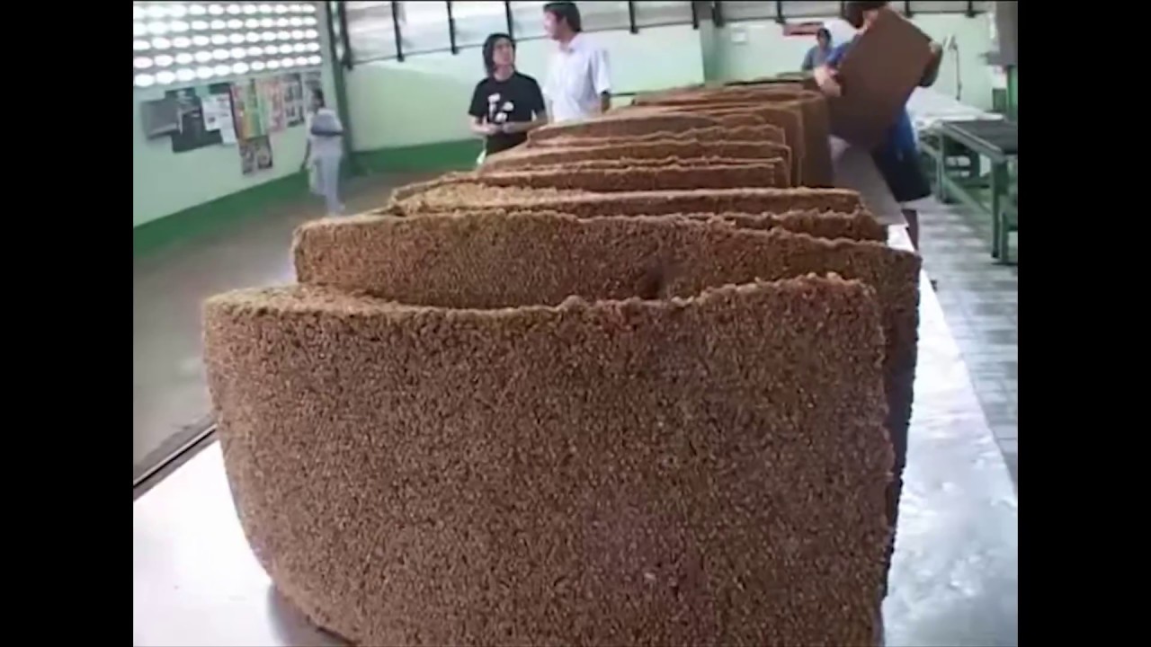 กระบวนการผลิตยางรถยนต์ วิชา Rubbers processing