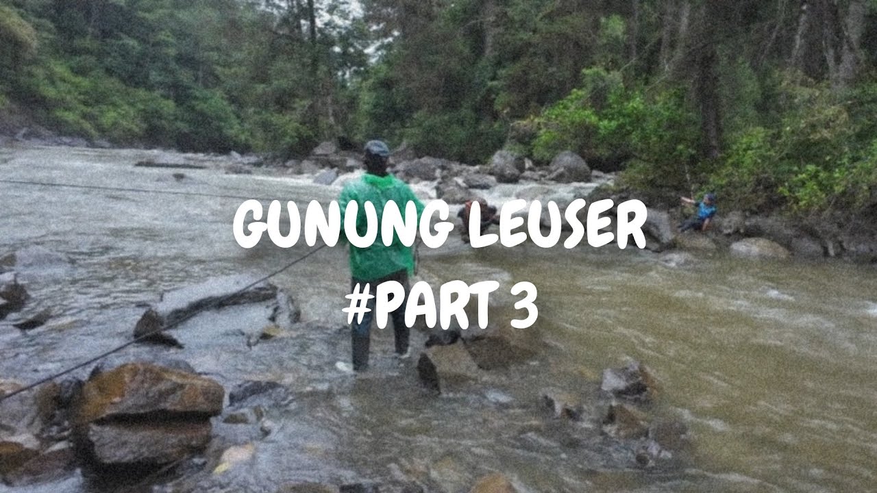 Pendakian Gunung Leuser || berjuang menyebrangi Sungai alas