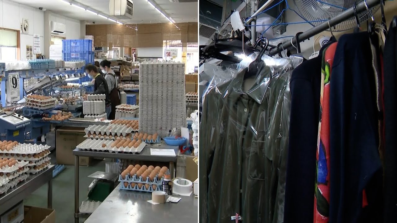 「企業努力ではどうにもならない」養鶏場にクリーニング業者も悲鳴！　こんなところにも・・・中東情勢を巡る原油高の影響