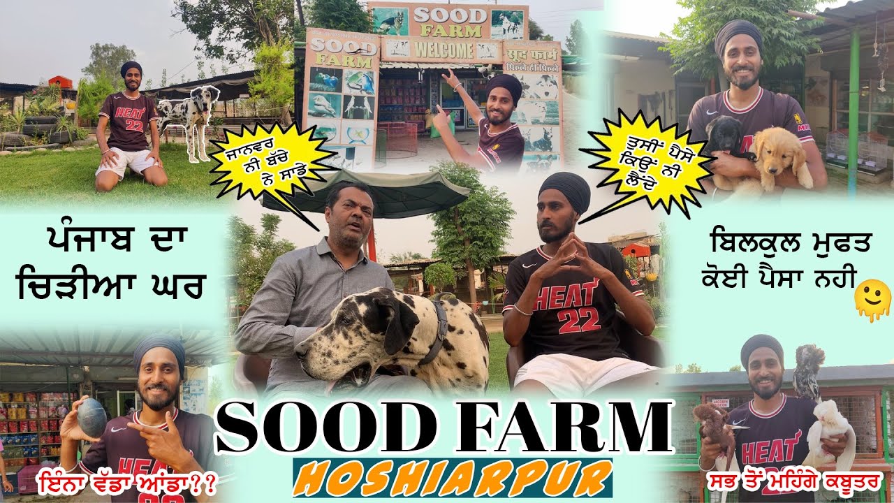 Sood Farm Hoshiarpur || Free Of Cost Zoo || Hoshiarpur Zoo || Pets & Animals || Speedysingh07