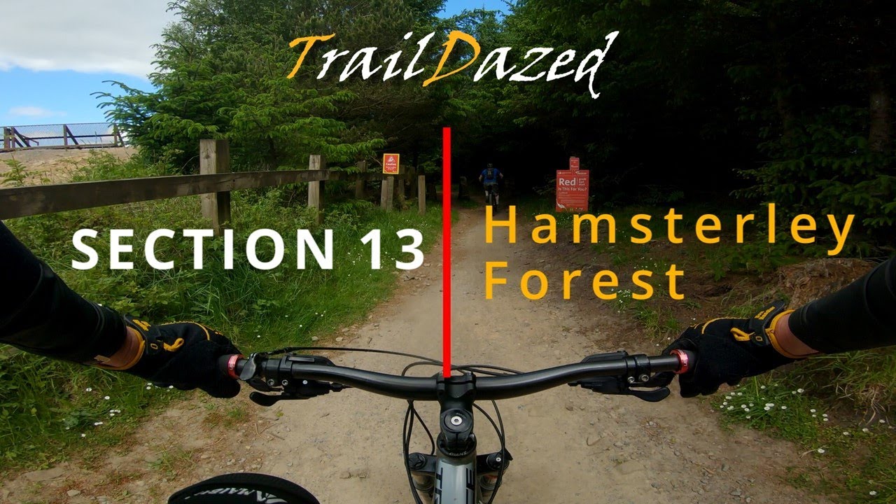 Section 13 - Hamsterley Forest MTB Trails