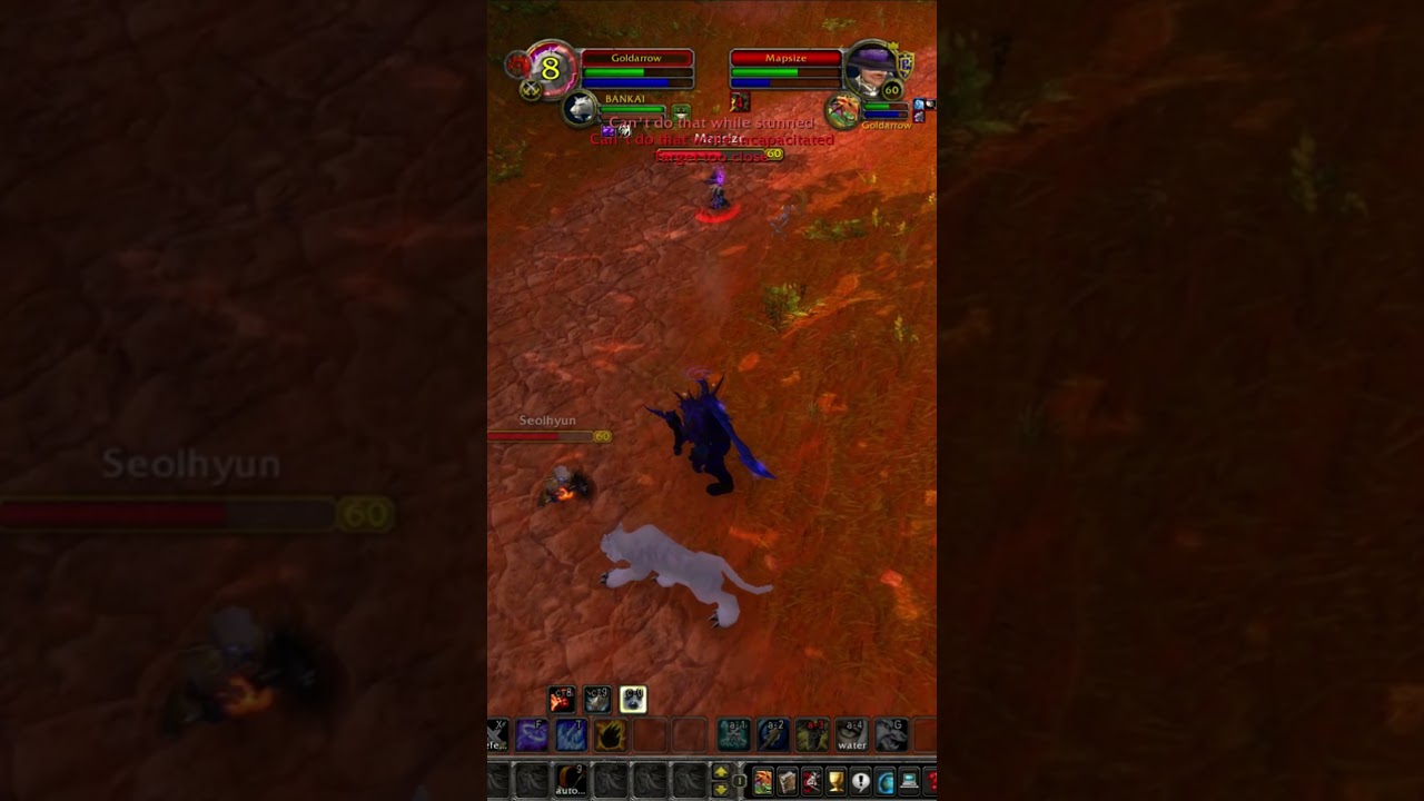 Hunter VS Mage+Warrior : Endgame PvP [WoW Classic] Era
