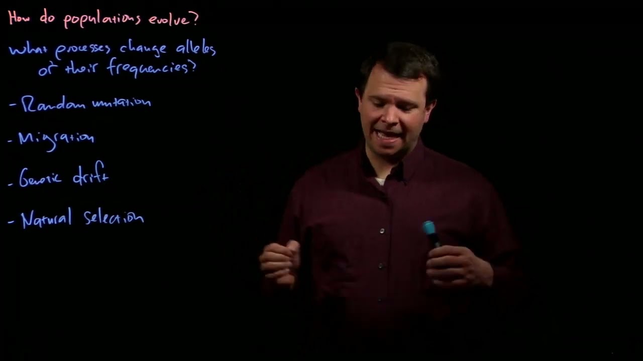 How do alleles in a population change over time?