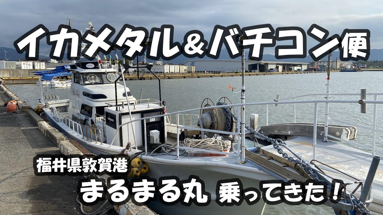 【バチコン＆イカメタル】福井県敦賀の遊漁船“まるまる丸”乗ってきた！