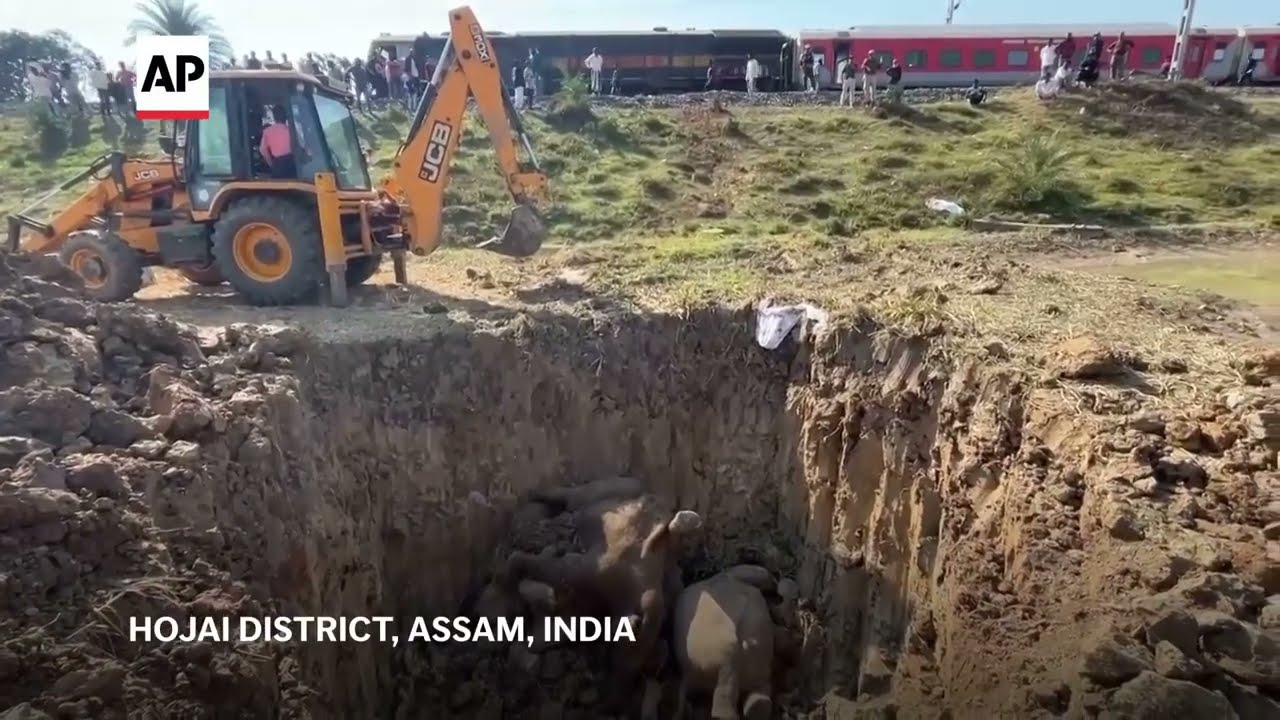 Scene in India after train kills 7 wild elephants crossing tracks