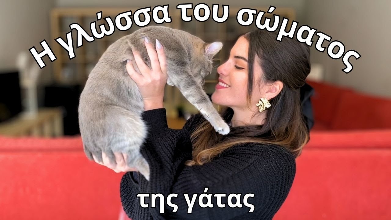 Η γλώσσα του σώματος της γάτας