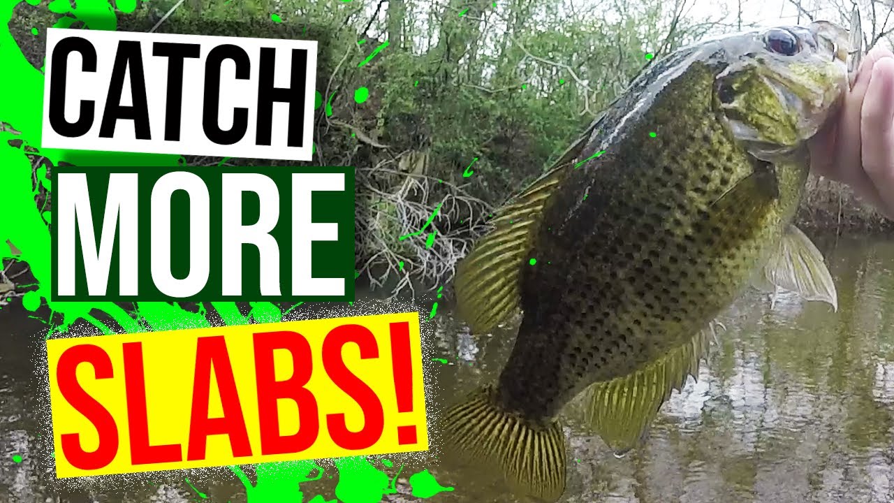 How to Catch Big Rock Bass