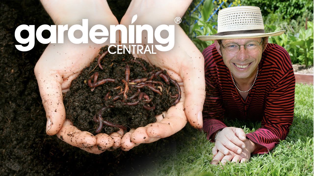How to make a CHEAP worm farm.