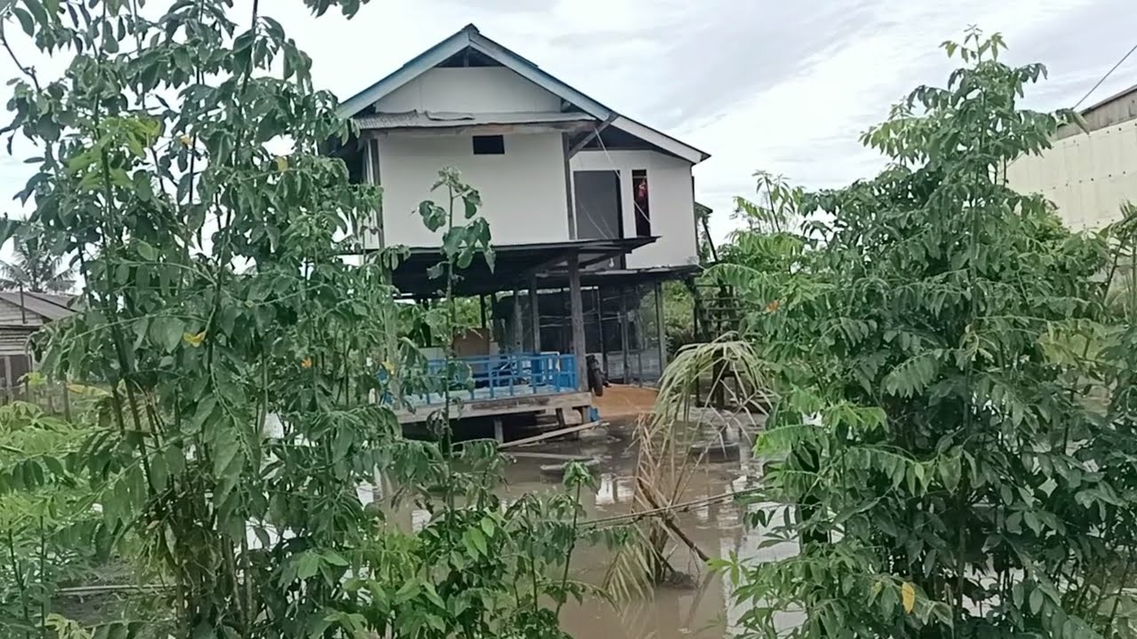 MONGGO,,SARAN DAN MASUKANNYA 🤣🤣🤣