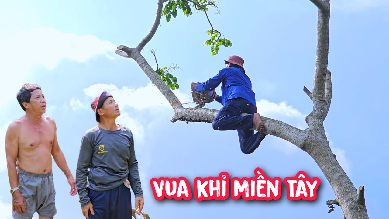 Vua Khỉ gặp nhiều thế khó khi cưa hạ vườn cây Cóc Cày, nằm trùm lên vườn cây Vú Sữa và Mít (1/2)