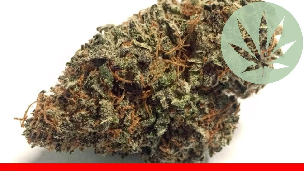 Purple Diesel - All About This Strain