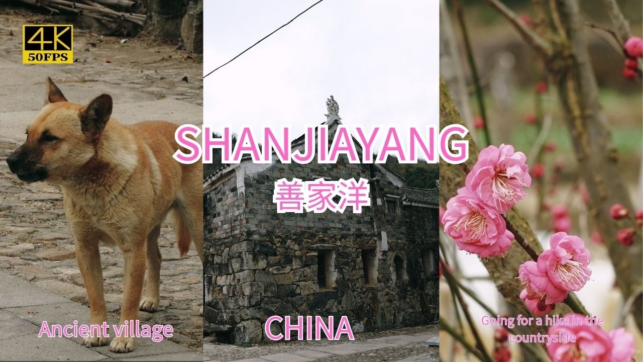 【4K】The rural record of China: Shanjiayang Village，台州临海善家洋村，滄桑之中，斷壁殘垣，被人遺忘的時光舊紙