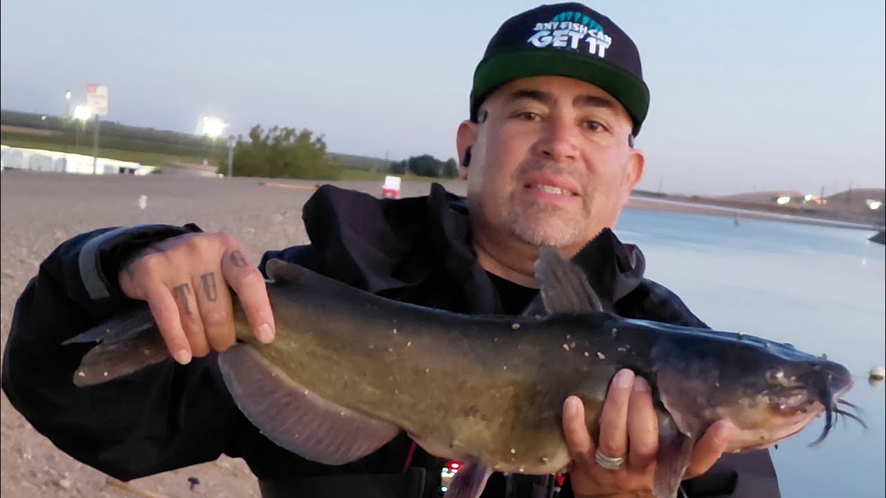 California Aqueduct Fishing for Big Catfish