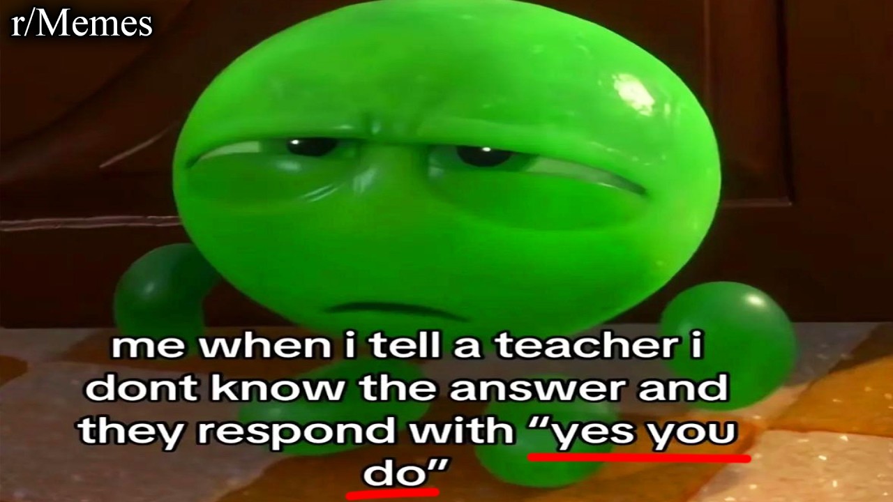 the best memes i could find
