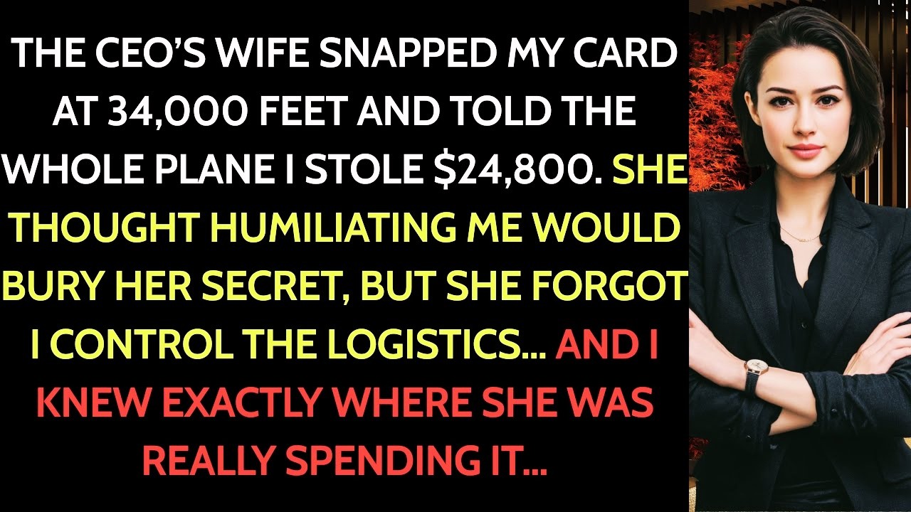 CEO’s Wife Cut My Card Mid-Flight—$24,800 Gone, Her Secret Didn’t Stay Hidden!!!