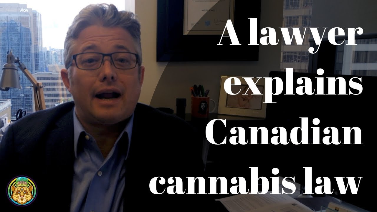 A lawyer explains Canadian cannabis law and its effect on medicinal access