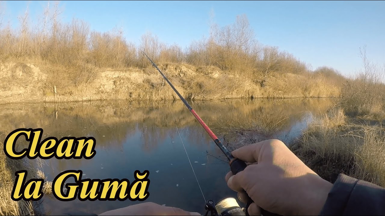 Primul Clean la Gumă, bonus bibani.