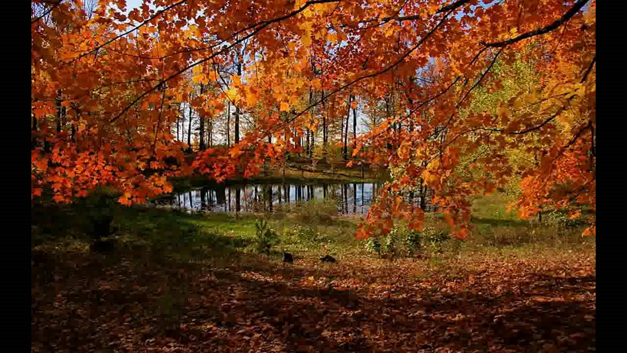 Bernward Koch ~ Golden October