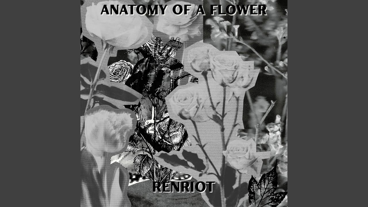 Anatomy of a Flower