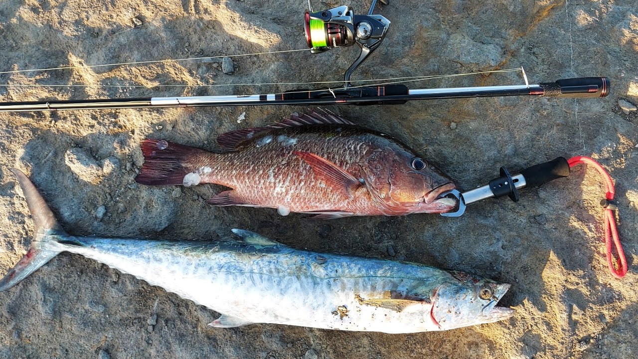 shimano Vanford field test Part 2