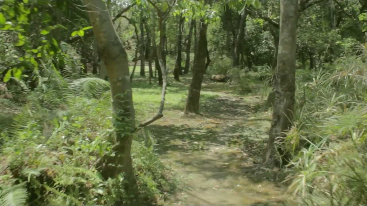 Monkey Pools - Lusaka, Zambia