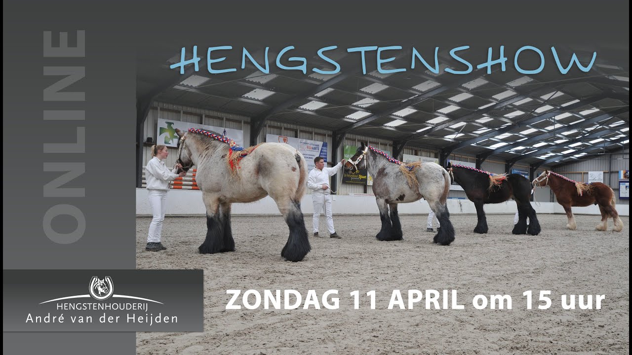 Hengstenshow André van der Heijden 2021