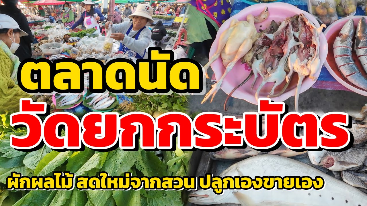 ตลาดนัดวัดยกกระบัตร!!!สดใหม่จากสวนบ้านแพ้ว ผักผลไม้ปลูกเองขายเอง
