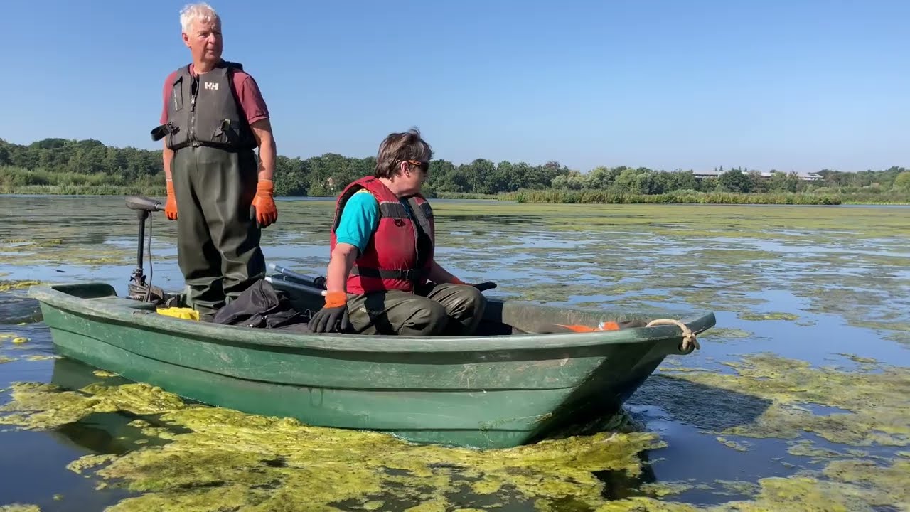 Fleet Pond's Algal Bloom - the Cause