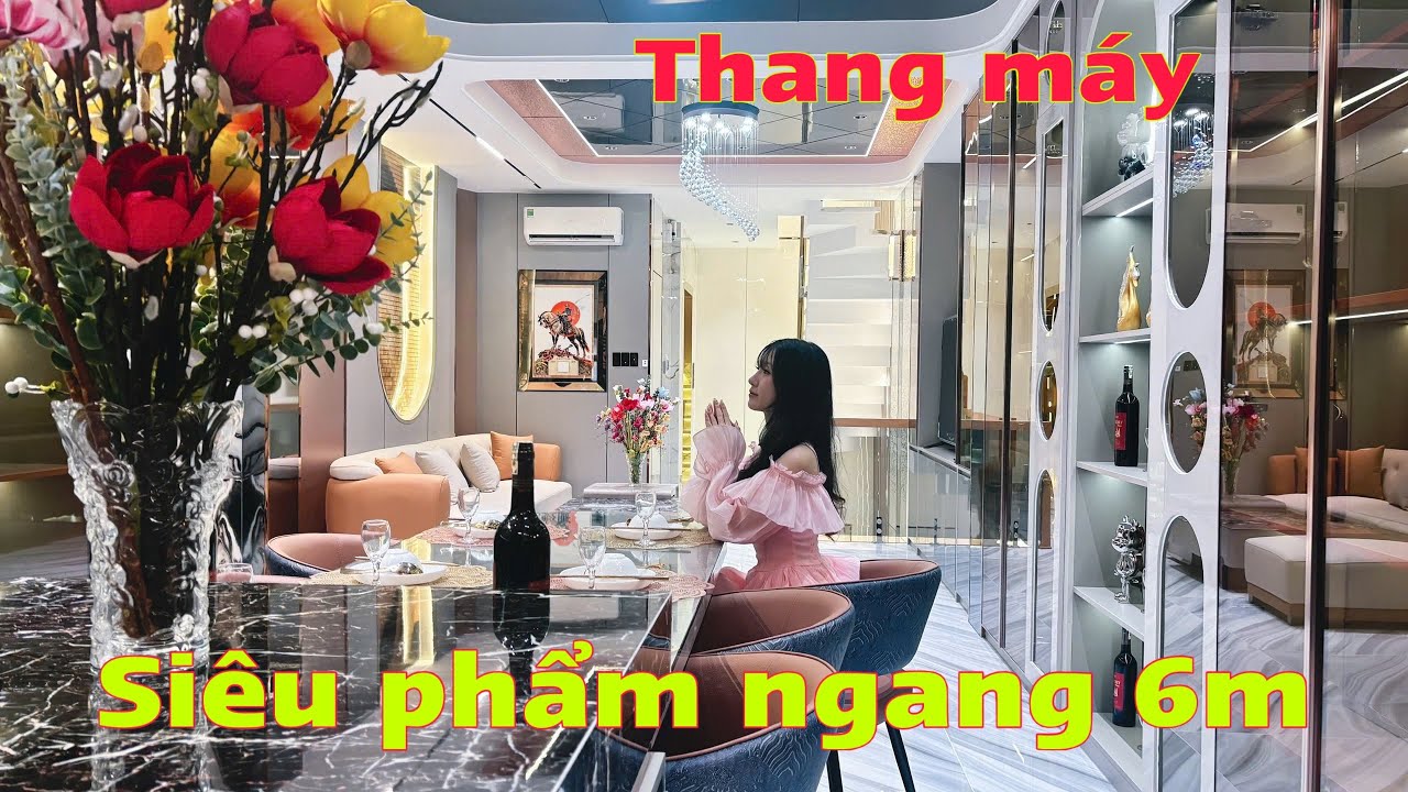 Nhà đẹp P15 Tân Bình ngang 6x12m lửng 3lầu thang máy đường thông 8m