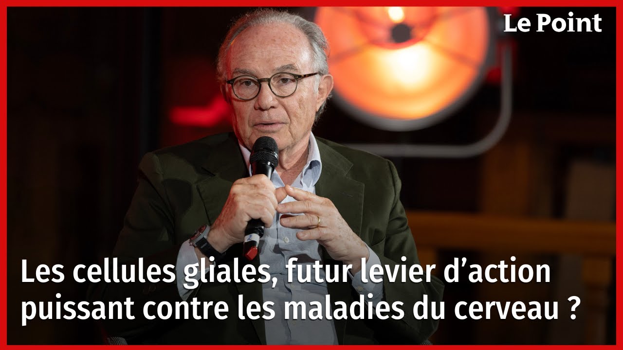 Les cellules gliales, futur levier d’action puissant contre les maladies du cerveau ?
