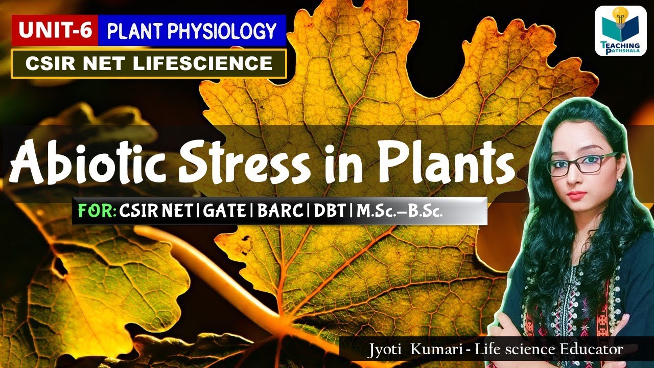 Abiotic Stress in Plant | CSIR NET ,GATE,DBT, M.Sc