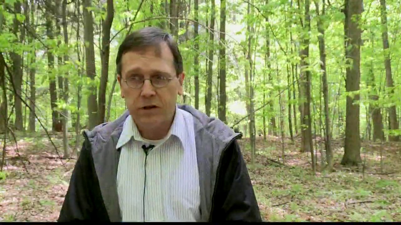 2 the Outdoors: Smith Woods