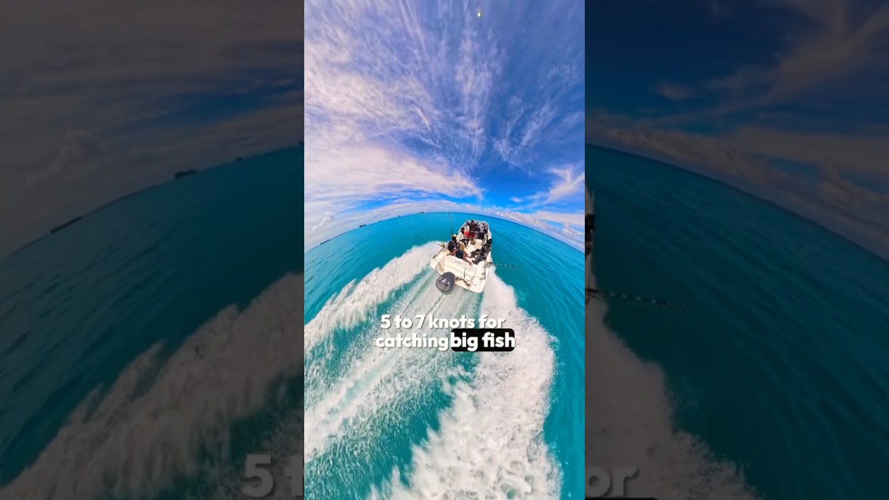This is How To Go Trolling Fishing !