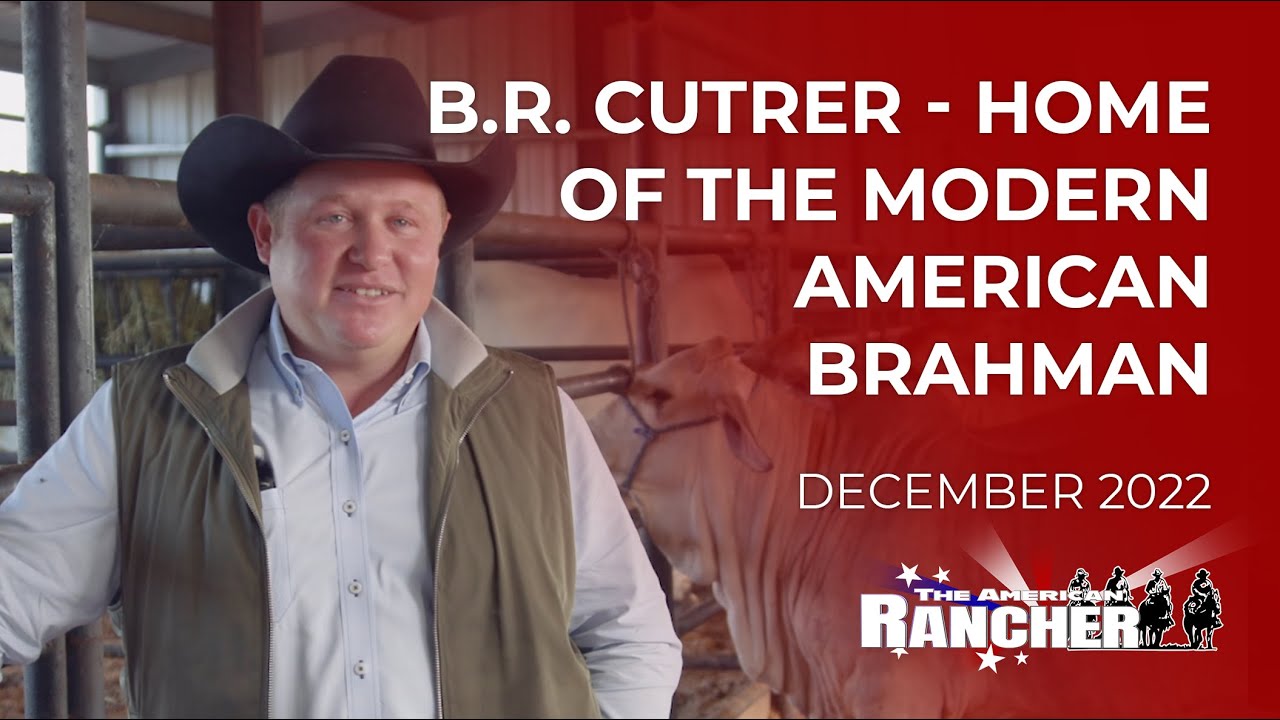 BR Cutrer - Home of the Modern American Brahman | The American Rancher