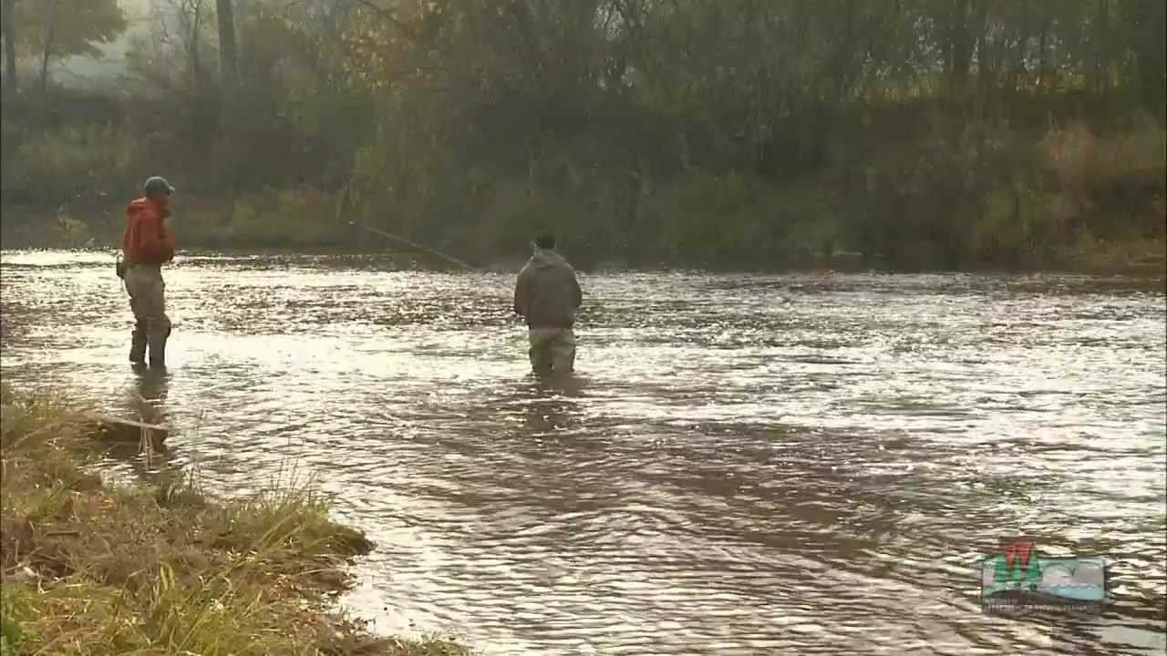 Sheboygan River Area of Concern: Fast Track to Recovery