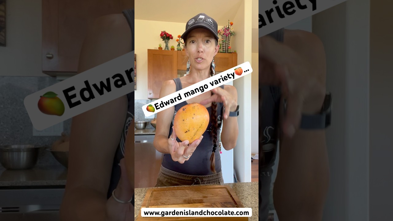 We have 5 acres of farm land & summer is mango season. This is Edward- very nectarine like flavor🥭