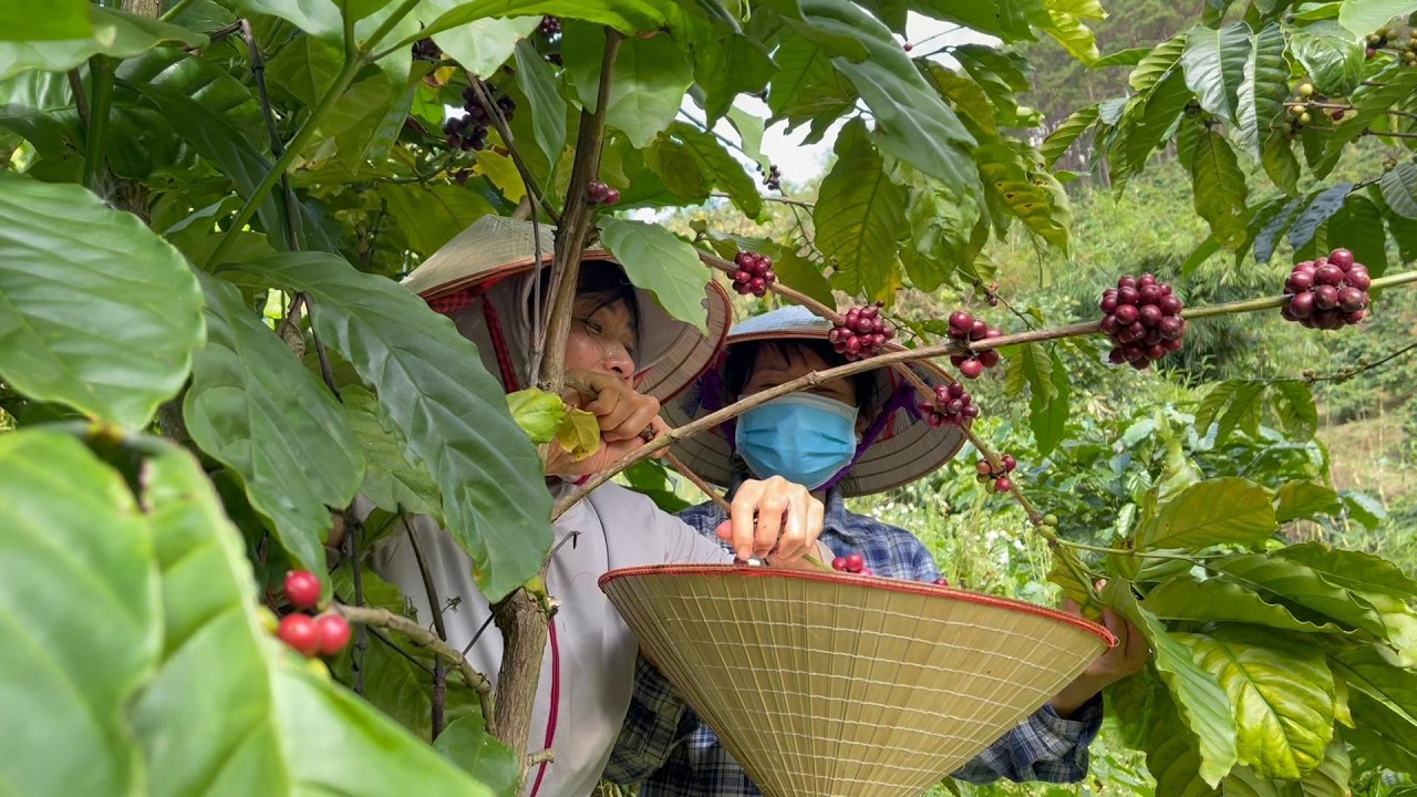 Chúng Tôi Đã Tự Chủ: Lương Thực - Năng Lượng - Y Tế Trước Biến Động Của Thế Giới