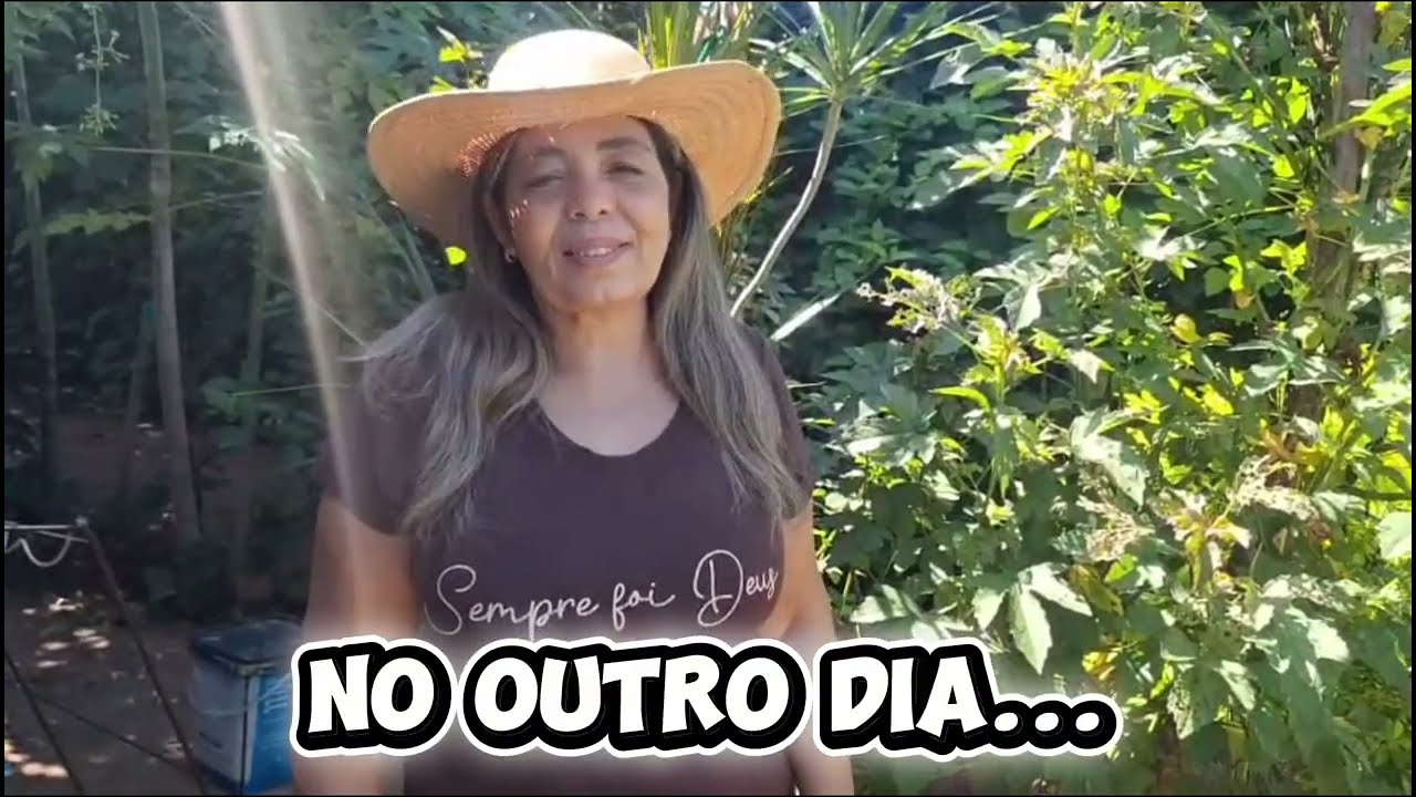 ROTINA COMPLETA NA FAZENDA: TRATO, VISTORIA E COMPRAS!