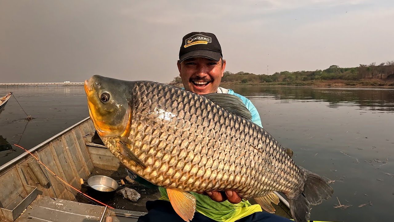 Piau gigante o Maior de todos, Anzóis quebrando linhas Arrebentando Pescaria com muita chuva!