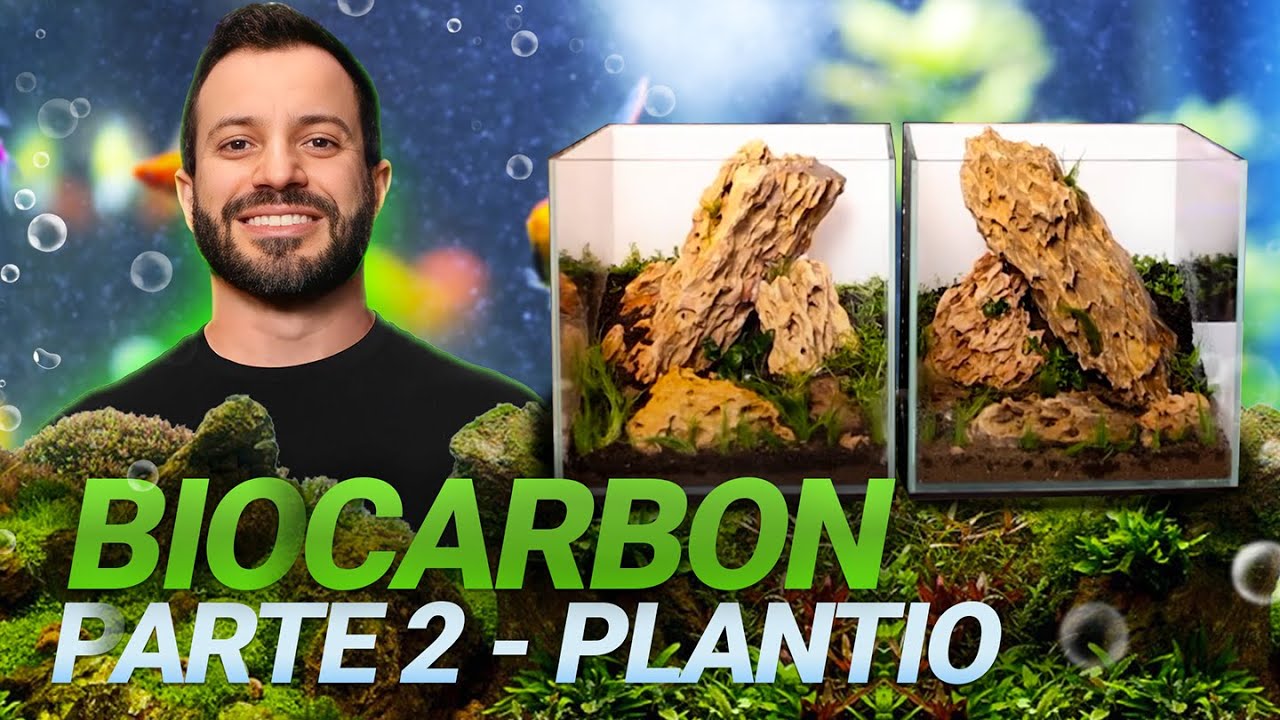 FAZENDO O PLANTIO EM AQUÁRIO COM O NOVO BIOCARBON AQUAPLANTE! [FAZENDA SUBMERSA]